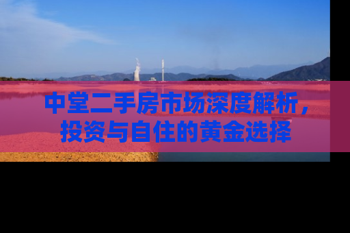 中堂二手房市场深度解析，投资与自住的黄金选择