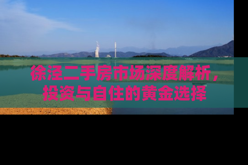 徐泾二手房市场深度解析，投资与自住的黄金选择