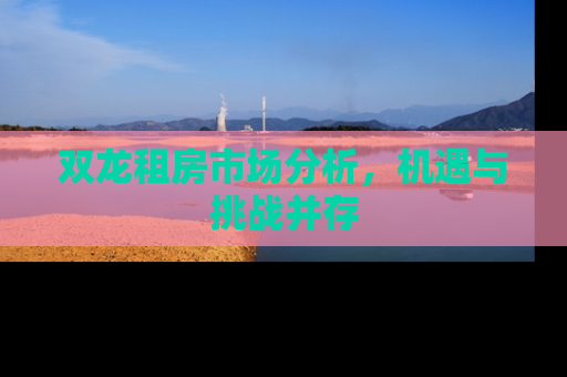 双龙租房市场分析，机遇与挑战并存