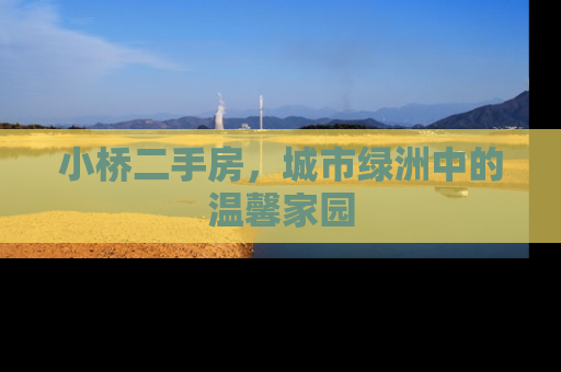 小桥二手房，城市绿洲中的温馨家园