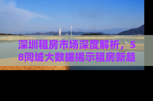 深圳租房市场深度解析，58同城大数据揭示租房新趋势