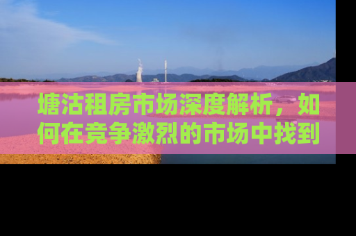 塘沽租房市场深度解析，如何在竞争激烈的市场中找到理想的家