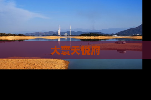 大寰天悦府