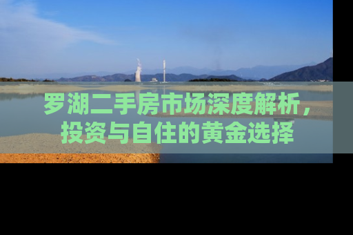 罗湖二手房市场深度解析，投资与自住的黄金选择