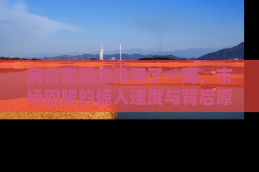 房价涨回来只用了一周，市场回暖的惊人速度与背后原因