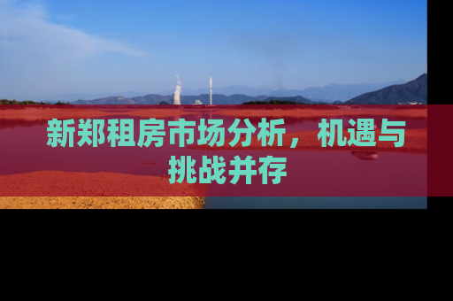 新郑租房市场分析，机遇与挑战并存