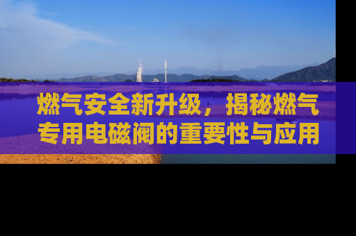 燃气安全新升级，揭秘燃气专用电磁阀的重要性与应用