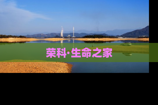 荣科·生命之家