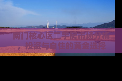 南门核心区二手房市场分析，投资与自住的黄金选择