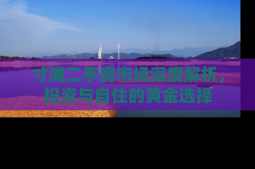寸滩二手房市场深度解析，投资与自住的黄金选择