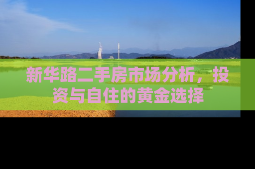 新华路二手房市场分析，投资与自住的黄金选择