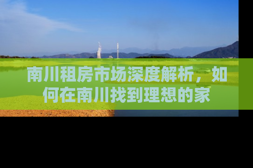 南川租房市场深度解析，如何在南川找到理想的家