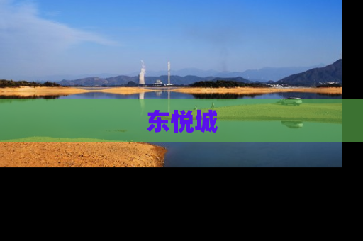 东悦城