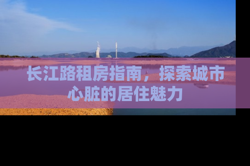 长江路租房指南，探索城市心脏的居住魅力