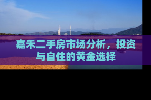 嘉禾二手房市场分析，投资与自住的黄金选择