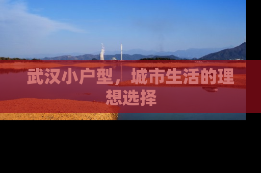 武汉小户型，城市生活的理想选择