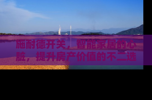 施耐德开关，智能家居的心脏，提升房产价值的不二选择