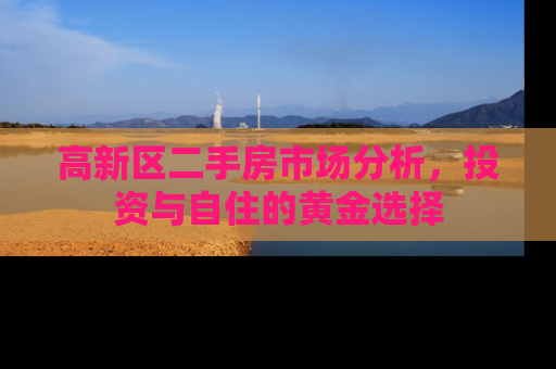 高新区二手房市场分析，投资与自住的黄金选择