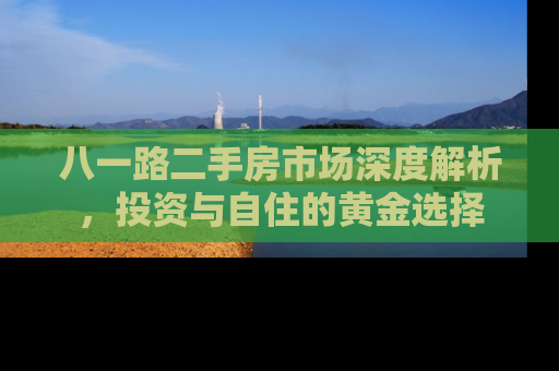 八一路二手房市场深度解析，投资与自住的黄金选择