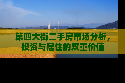 第四大街二手房市场分析，投资与居住的双重价值