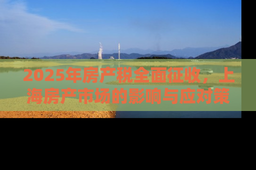2025年房产税全面征收，上海房产市场的影响与应对策略