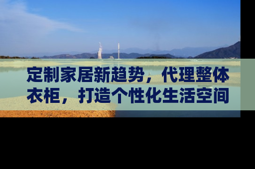定制家居新趋势，代理整体衣柜，打造个性化生活空间