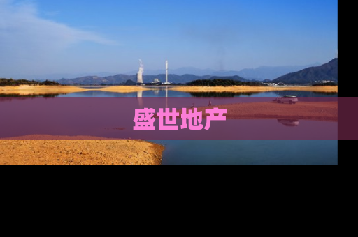 盛世地产