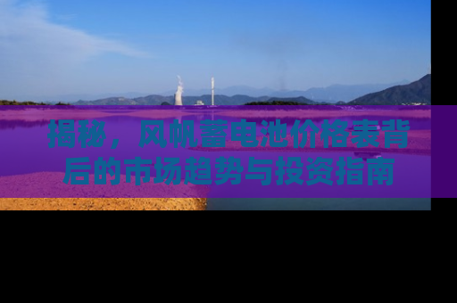 揭秘，风帆蓄电池价格表背后的市场趋势与投资指南