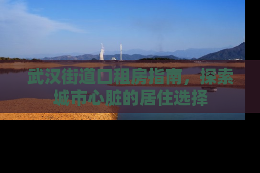 武汉街道口租房指南，探索城市心脏的居住选择