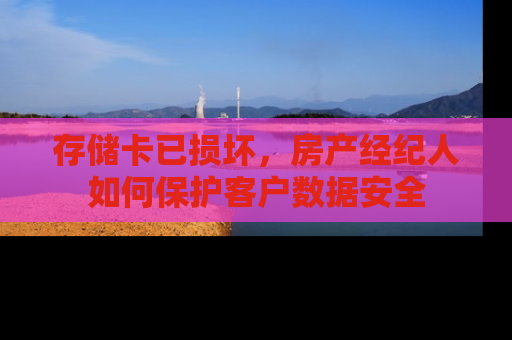 存储卡已损坏，房产经纪人如何保护客户数据安全