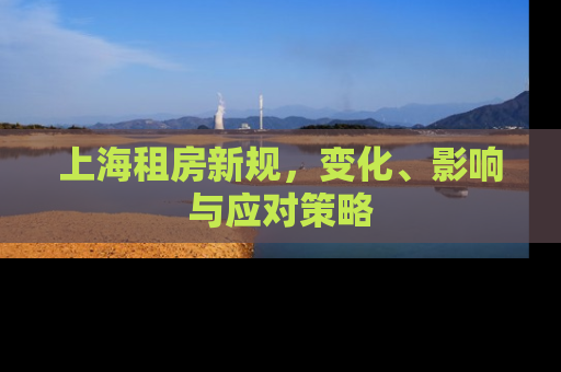 上海租房新规，变化、影响与应对策略