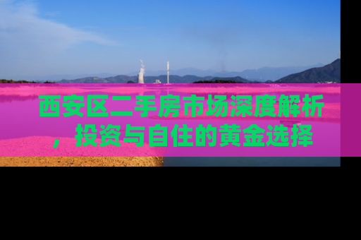 西安区二手房市场深度解析，投资与自住的黄金选择