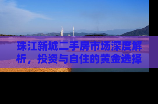 珠江新城二手房市场深度解析，投资与自住的黄金选择