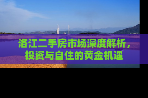 洛江二手房市场深度解析，投资与自住的黄金机遇
