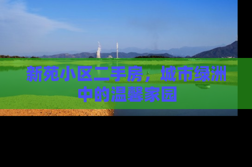 新苑小区二手房，城市绿洲中的温馨家园