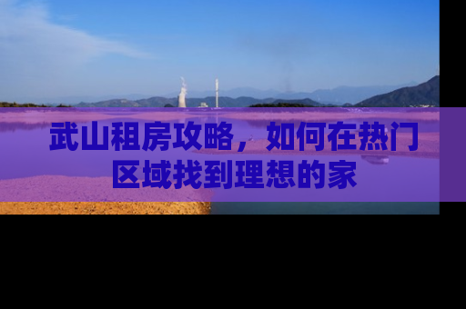 武山租房攻略，如何在热门区域找到理想的家