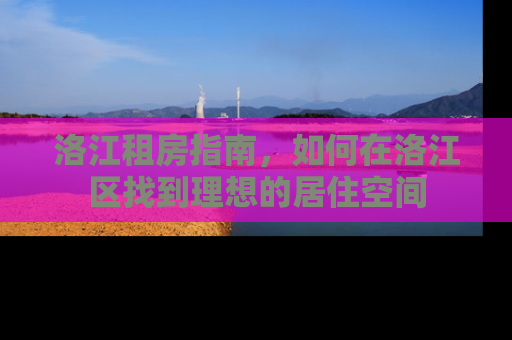 洛江租房指南，如何在洛江区找到理想的居住空间
