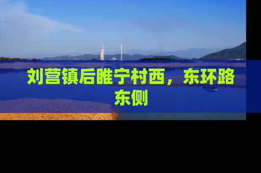 刘营镇后睢宁村西，东环路东侧