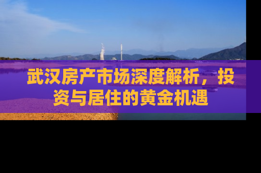 武汉房产市场深度解析，投资与居住的黄金机遇