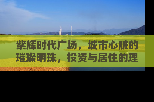 紫辉时代广场，城市心脏的璀璨明珠，投资与居住的理想之选
