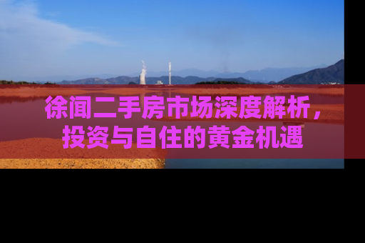 徐闻二手房市场深度解析，投资与自住的黄金机遇