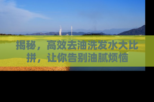 揭秘,高效去油洗发水大比拼,让你告别油腻烦恼 揭秘,高效去油洗发水大比拼,让你告别油腻烦恼