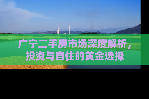 广宁二手房市场深度解析，投资与自住的黄金选择