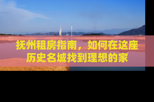 抚州租房指南，如何在这座历史名城找到理想的家