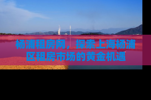 杨浦租房网，探索上海杨浦区租房市场的黄金机遇