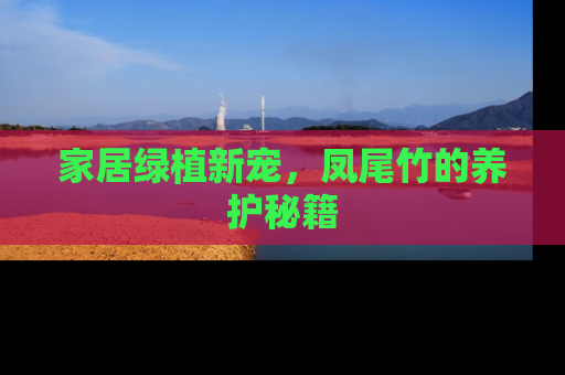 家居绿植新宠，凤尾竹的养护秘籍