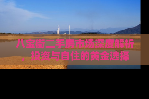 八宝街二手房市场深度解析，投资与自住的黄金选择