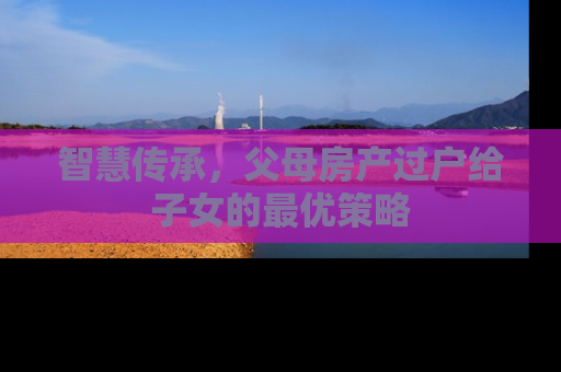 智慧传承，父母房产过户给子女的最优策略
