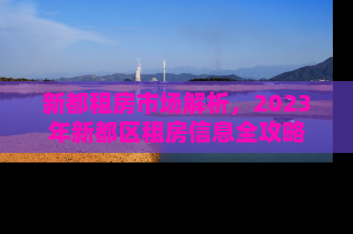 新都租房市场解析，2023年新都区租房信息全攻略