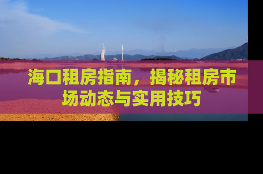 海口租房指南，揭秘租房市场动态与实用技巧